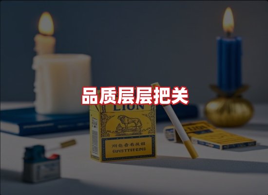 专业团队